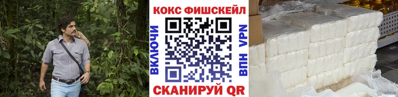 Купить закладки  Каменск-Шахтинский  COCAIN 98% 